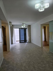 The Lakefront Residences (D22), Condominium #433617121